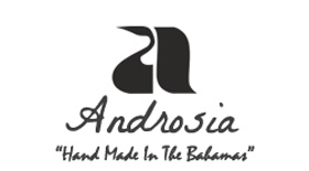 Androsia