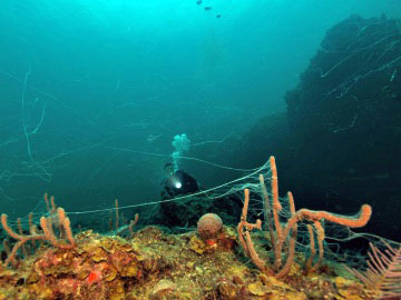 backside blue hole ocean scuba diving