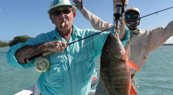 Best Reef Fishing In The Bahamas