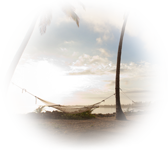 Haamocks in Sunrise Beach Palm Trees